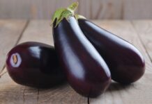 draw Eggplant