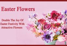 easter flowers- Double The Joy Of Easter Festivity With attractive Flowers