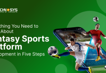Everything You Need to Know About Fantasy Sports Platform Development in Five Steps