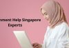 assignment help singapore