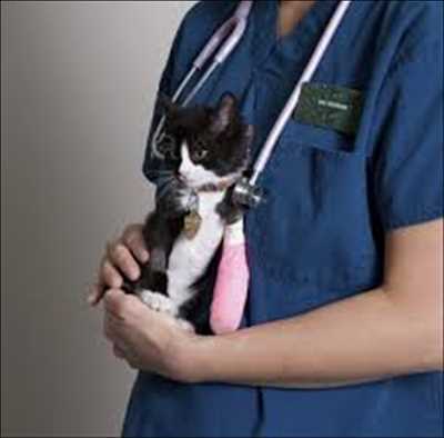 Animal-Wound-Care-Market-Size
