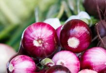 Nutrition and Diet: Best Health Benefits of Onions