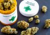 United States Medical Cannabis Market
