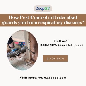 Termite Pest Control in Hyderabad
