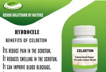 Herbal Treatment for Hydrocele