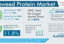 Seaweed Protein Market Segmentation Analysis Report