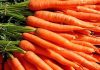 The advantages of carrots for health are unexpected