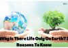 Why Is There Life Only On Earth? 7 Reasons To Know